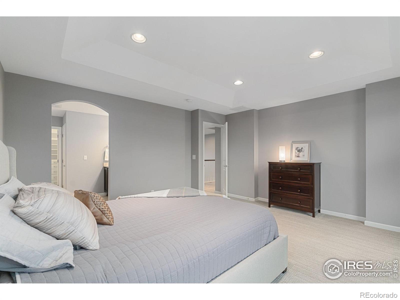 MLS Image #13 for 17805  coral burst street,parker, Colorado