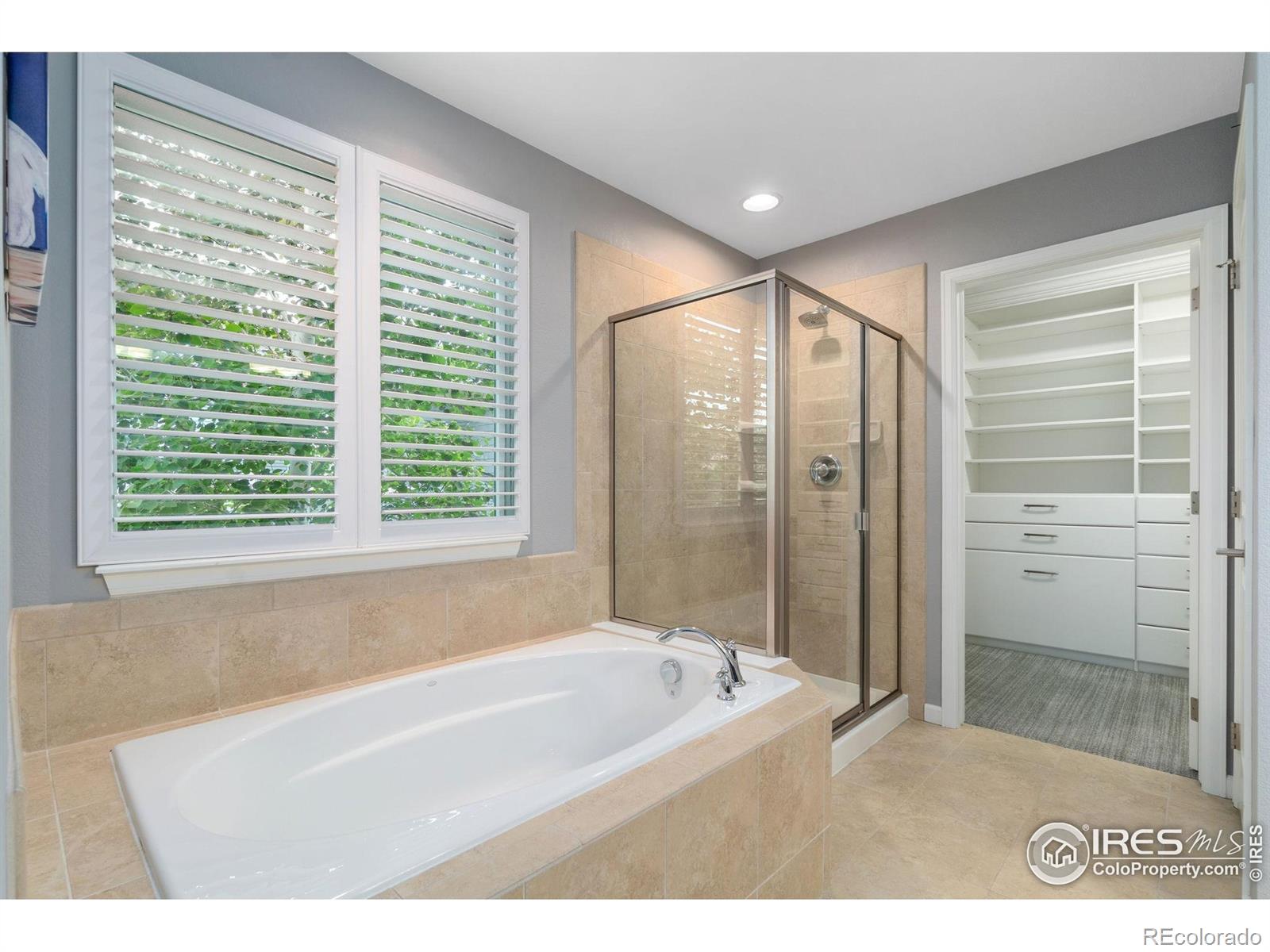 MLS Image #15 for 17805  coral burst street,parker, Colorado