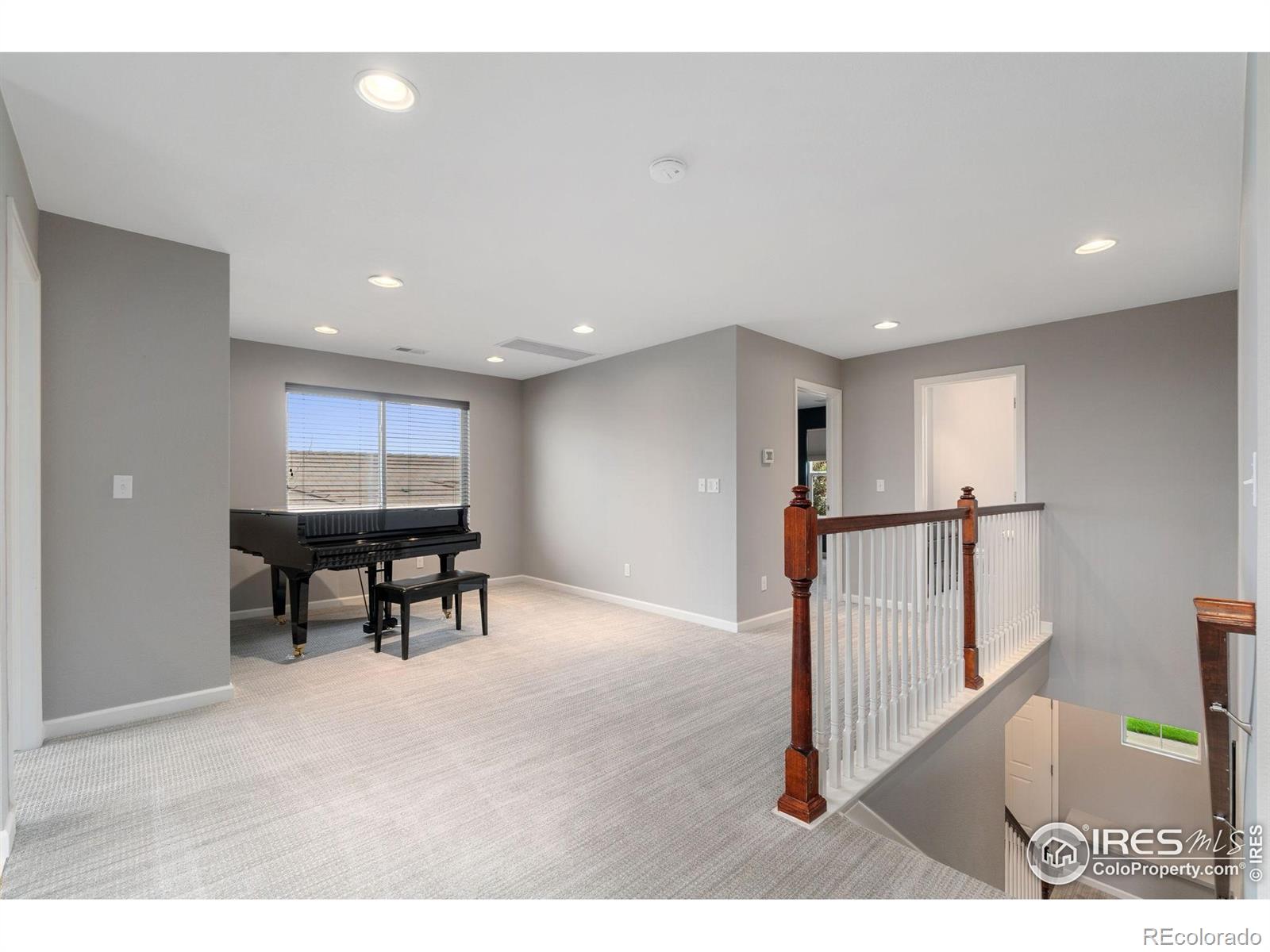 MLS Image #17 for 17805  coral burst street,parker, Colorado