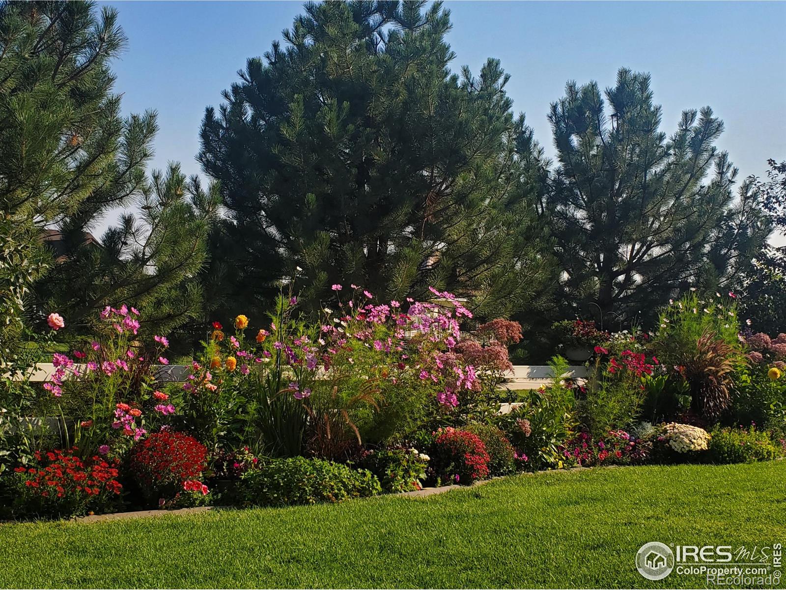 MLS Image #31 for 17805  coral burst street,parker, Colorado