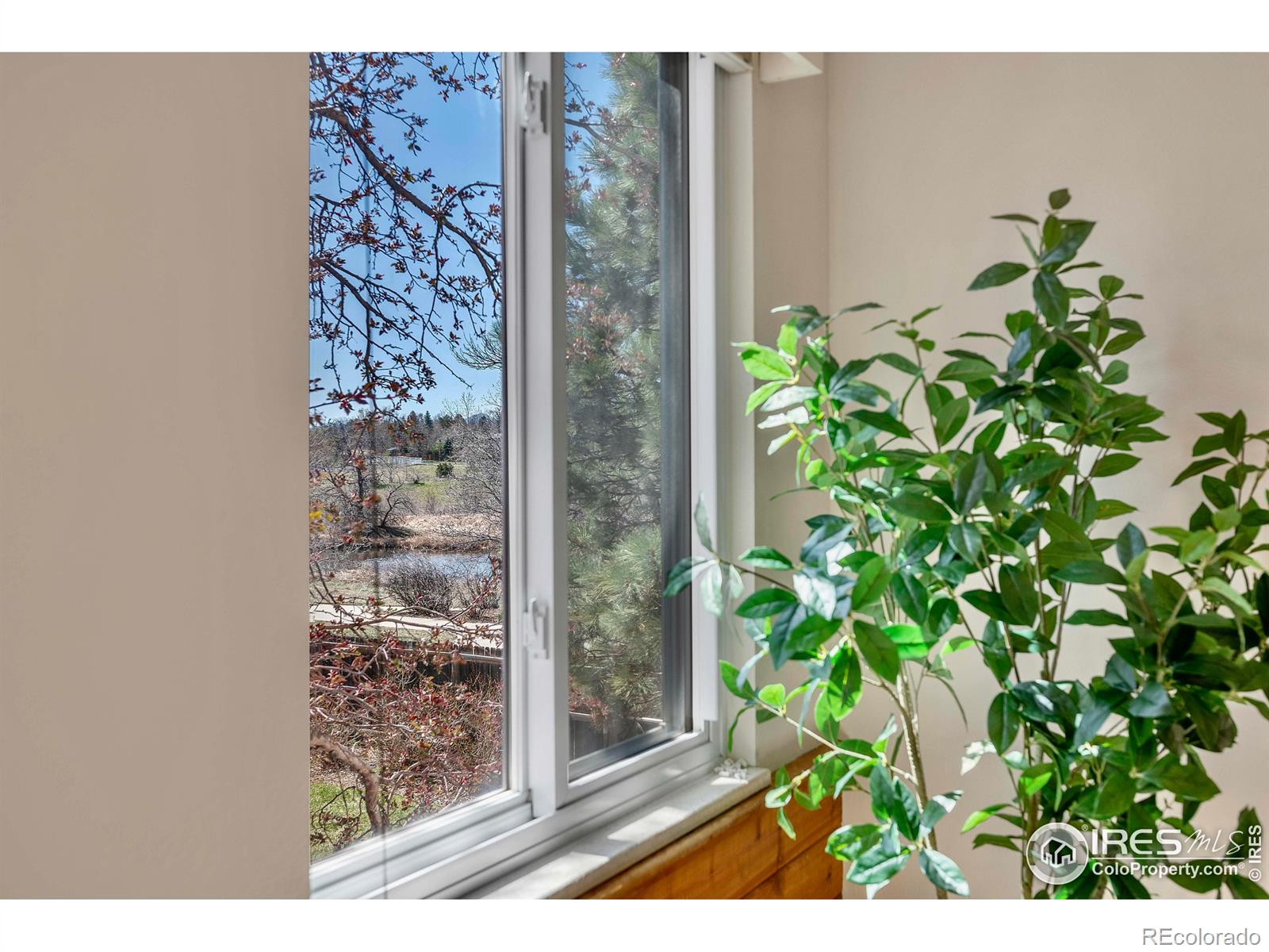 MLS Image #20 for 1449  adams place,louisville, Colorado