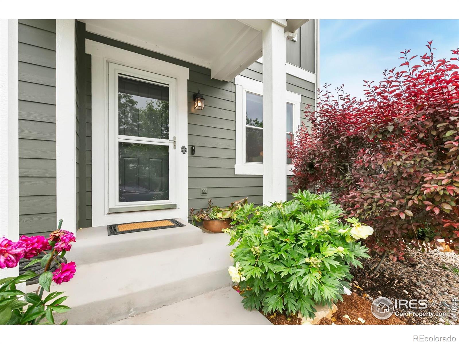 MLS Image #2 for 2808  sage creek road,fort collins, Colorado