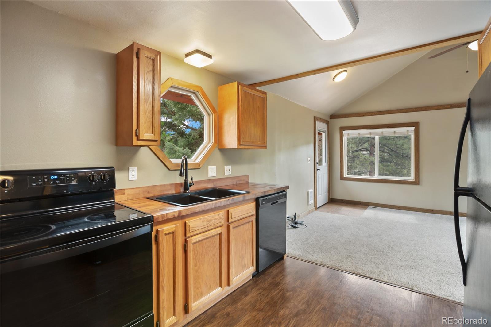 MLS Image #14 for 481  arrowhead ,florissant, Colorado