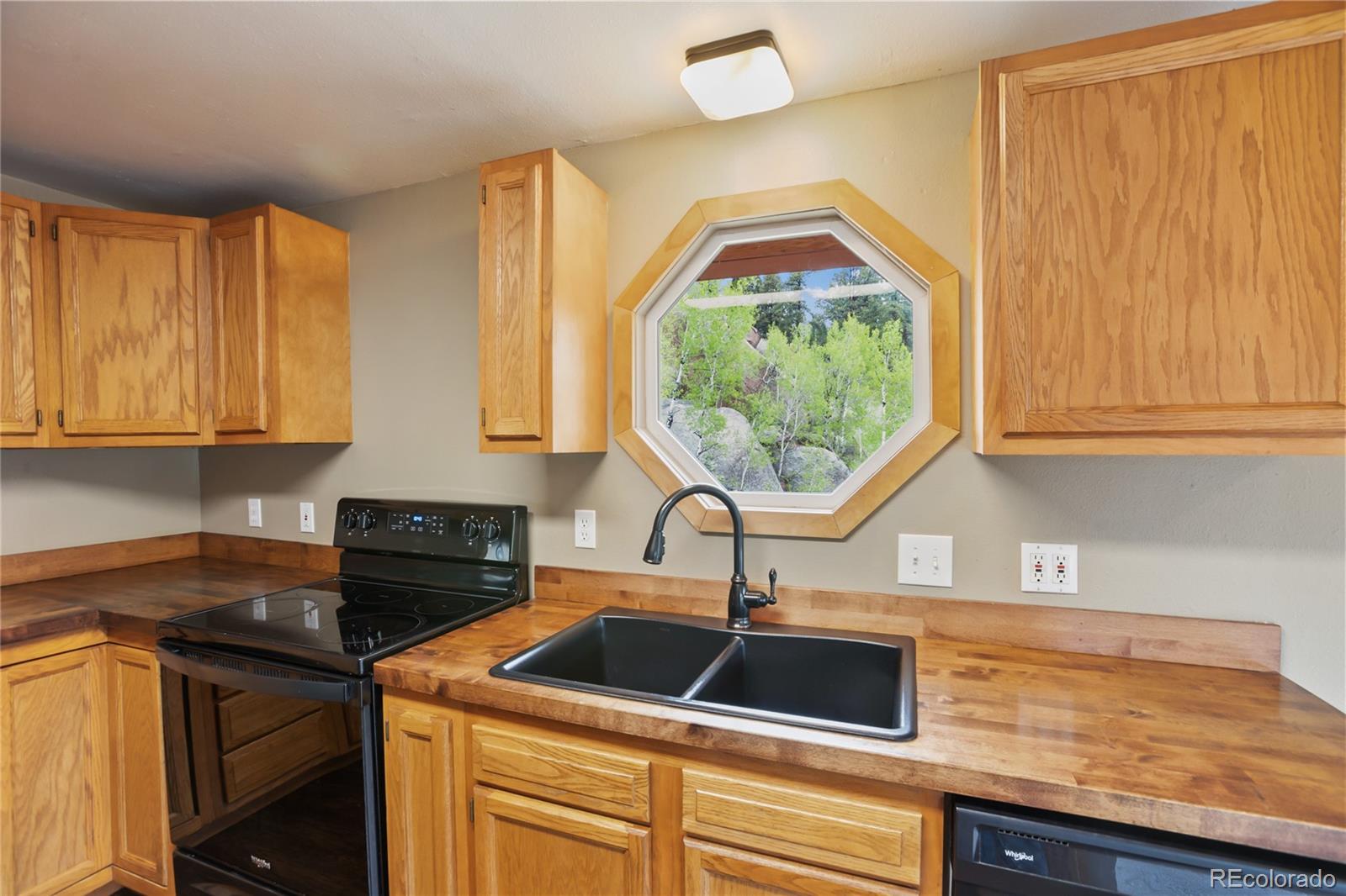 MLS Image #15 for 481  arrowhead ,florissant, Colorado