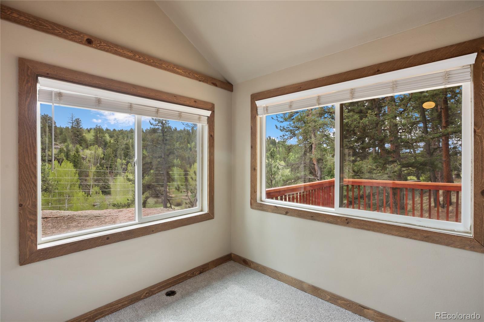MLS Image #20 for 481  arrowhead ,florissant, Colorado