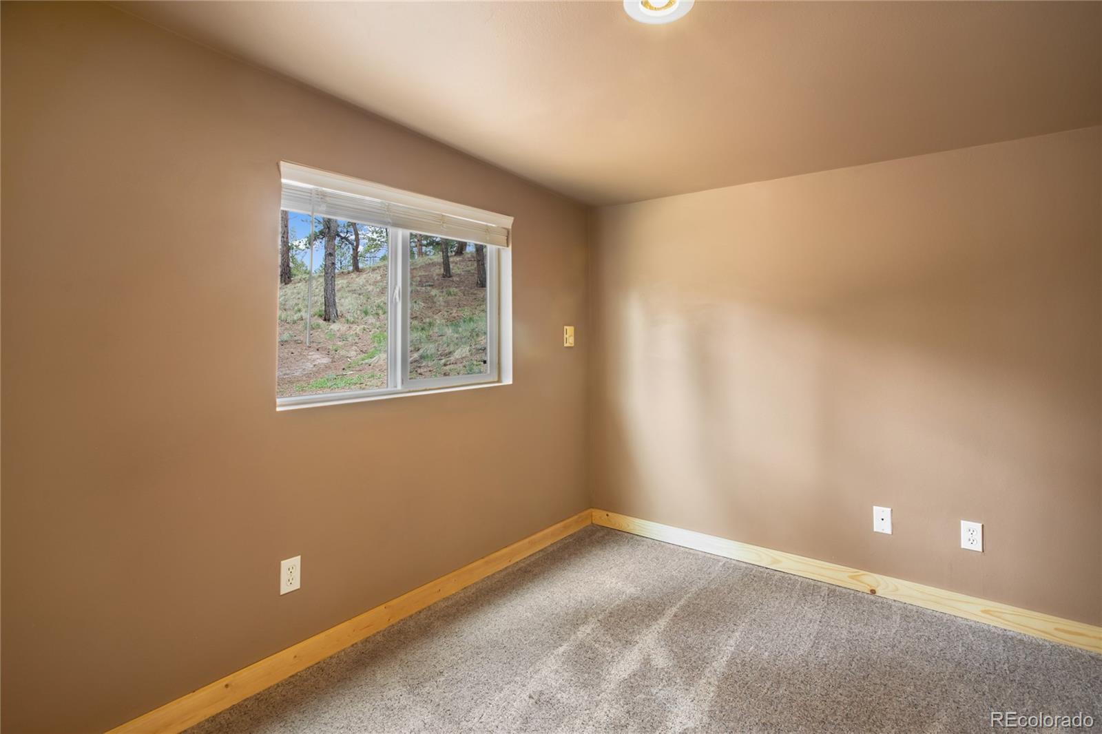 MLS Image #23 for 481  arrowhead ,florissant, Colorado