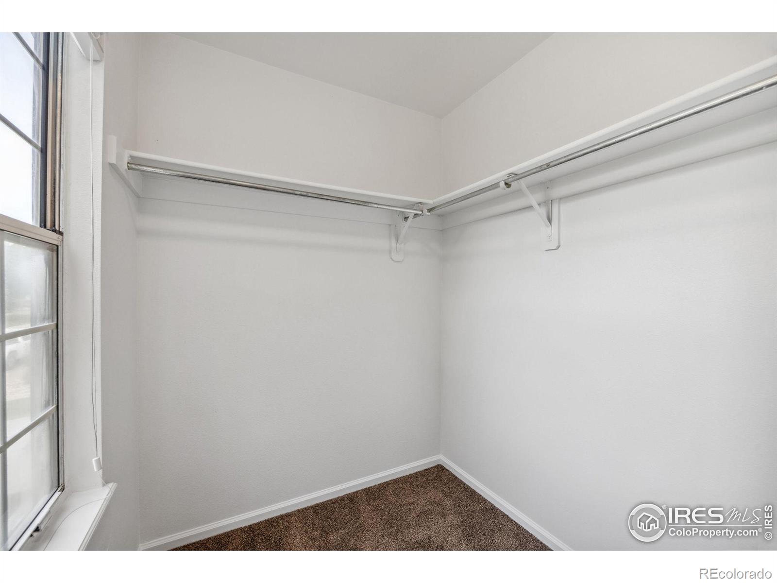 MLS Image #20 for 2525  antelope road,fort collins, Colorado