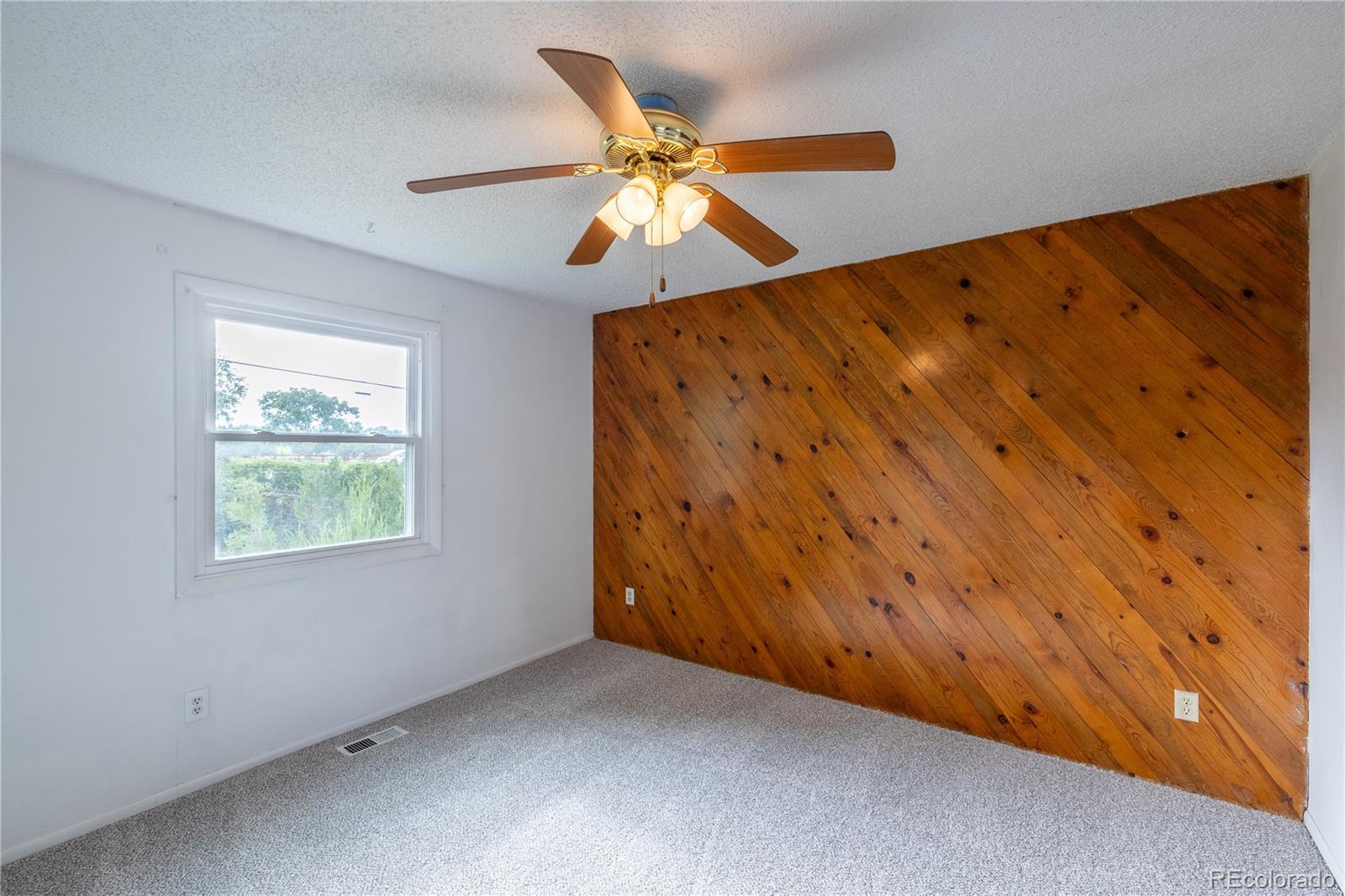 MLS Image #12 for 7431  webster street,arvada, Colorado
