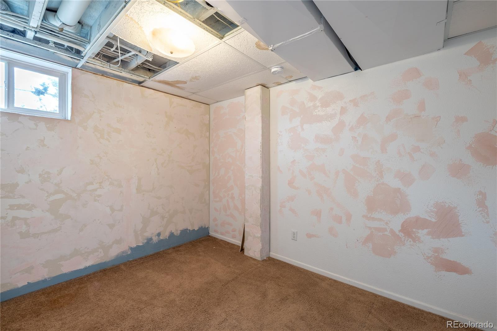 MLS Image #25 for 7431  webster street,arvada, Colorado