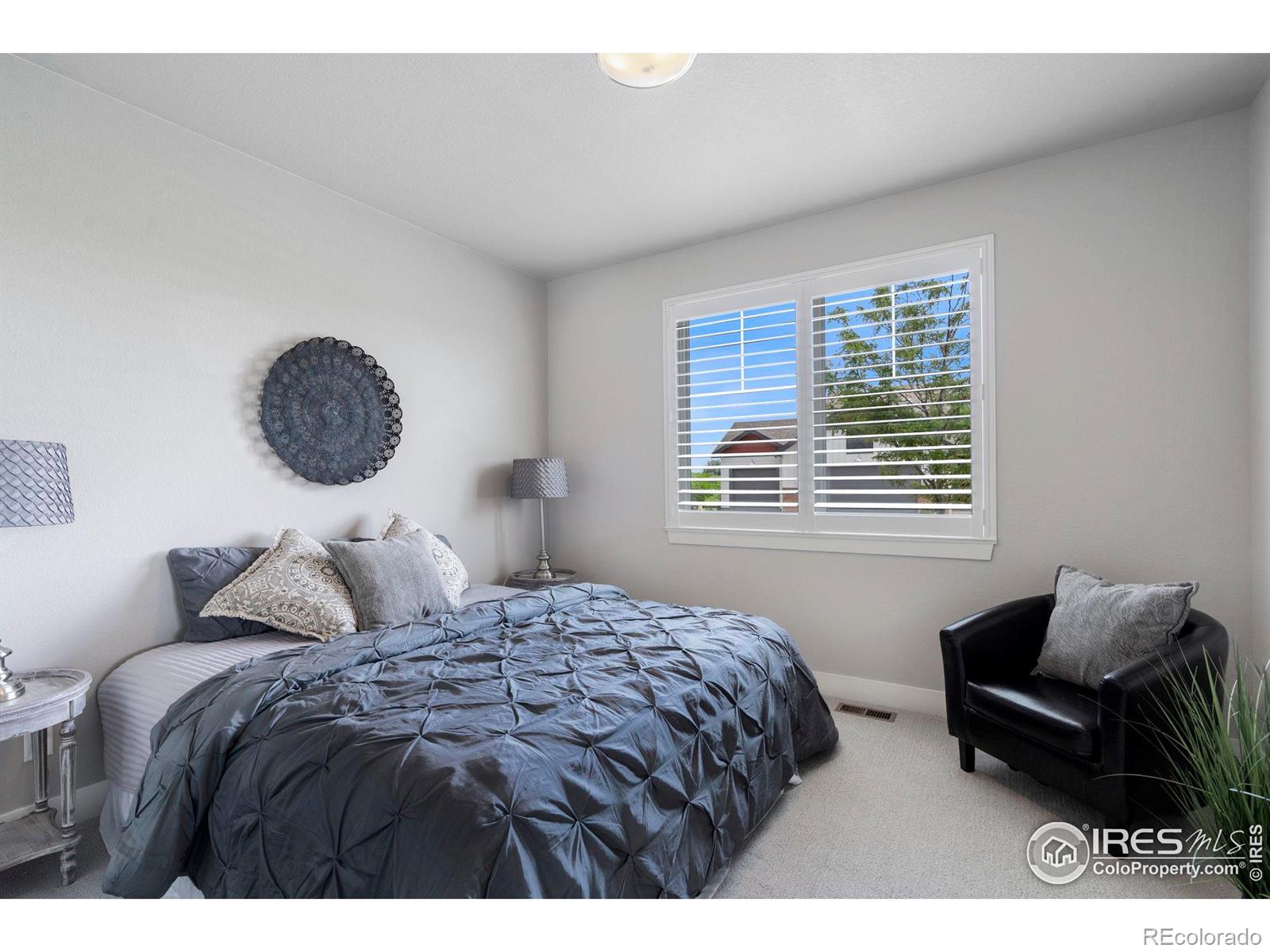 MLS Image #18 for 7015  toponas court,timnath, Colorado