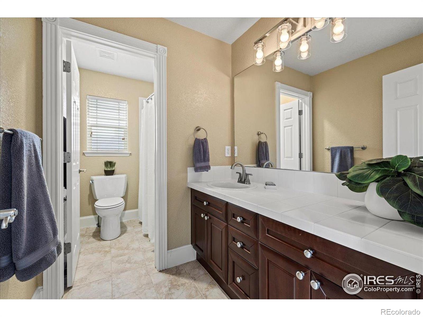 MLS Image #22 for 4219  frederick circle,longmont, Colorado