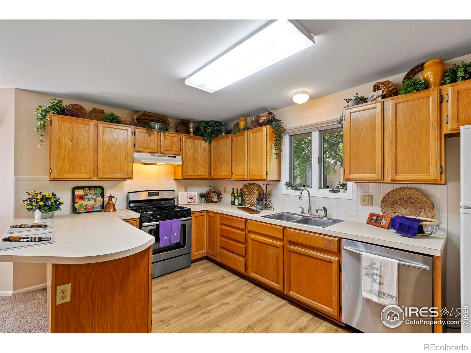 MLS Image #9 for 800  chetwood court,fort collins, Colorado