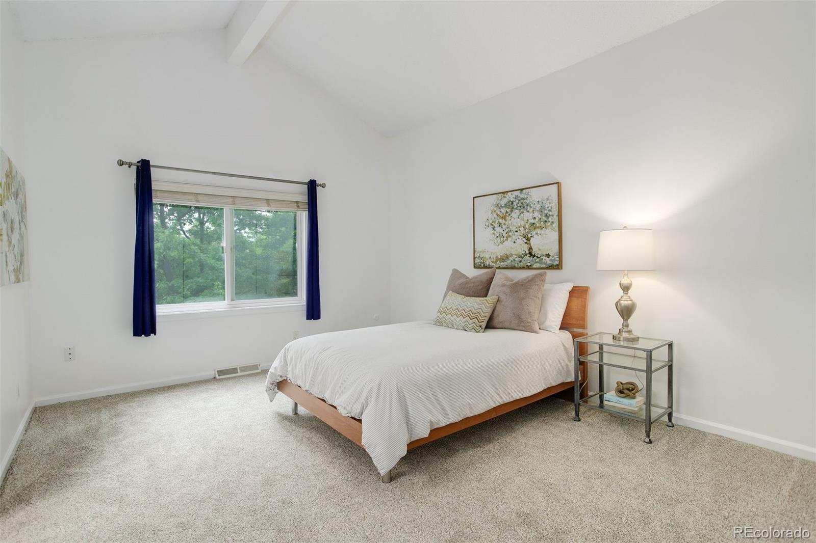 MLS Image #12 for 10966 w half moon pass,littleton, Colorado