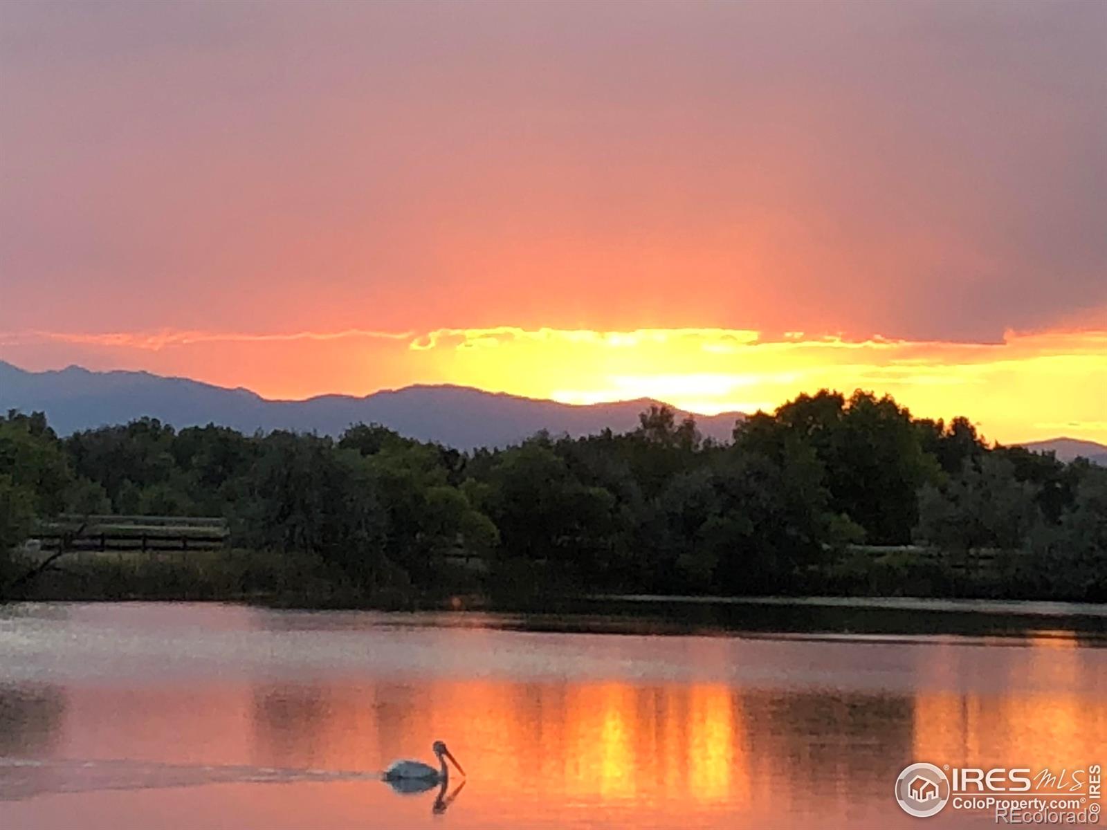 MLS Image #1 for 116  cobble court,windsor, Colorado