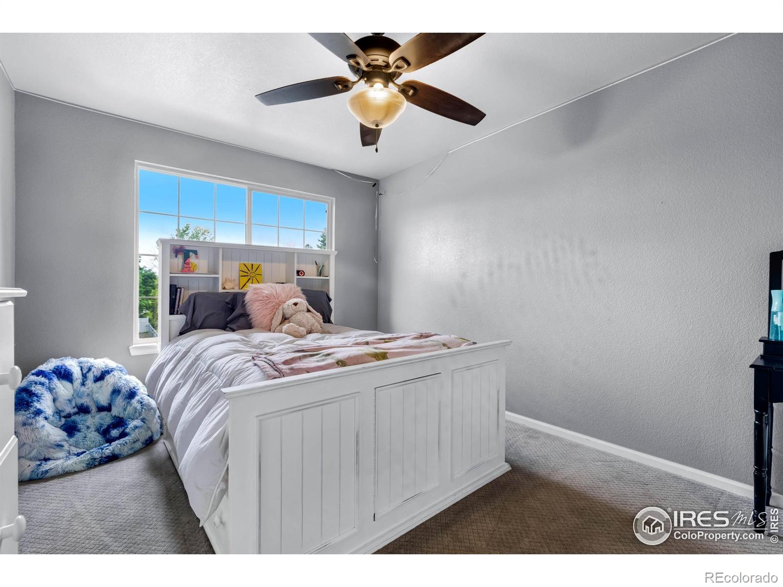 MLS Image #18 for 116  cobble court,windsor, Colorado