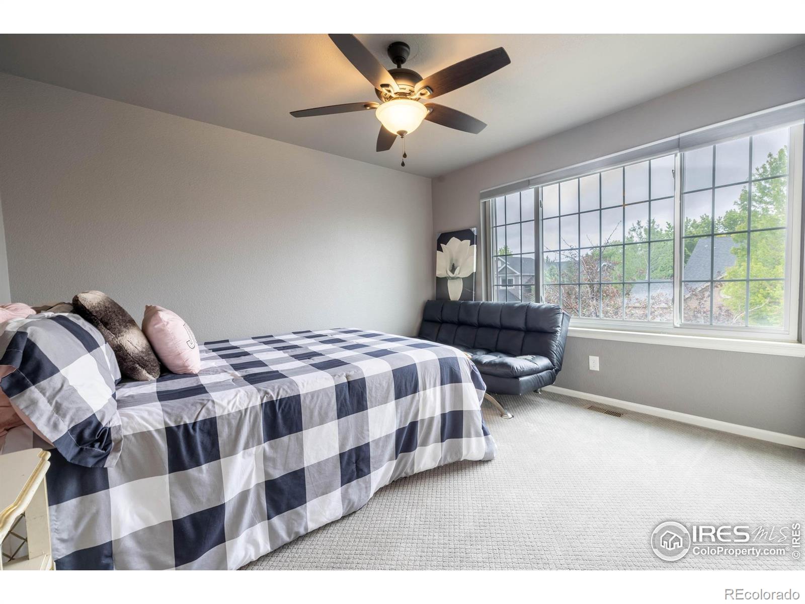 MLS Image #19 for 116  cobble court,windsor, Colorado