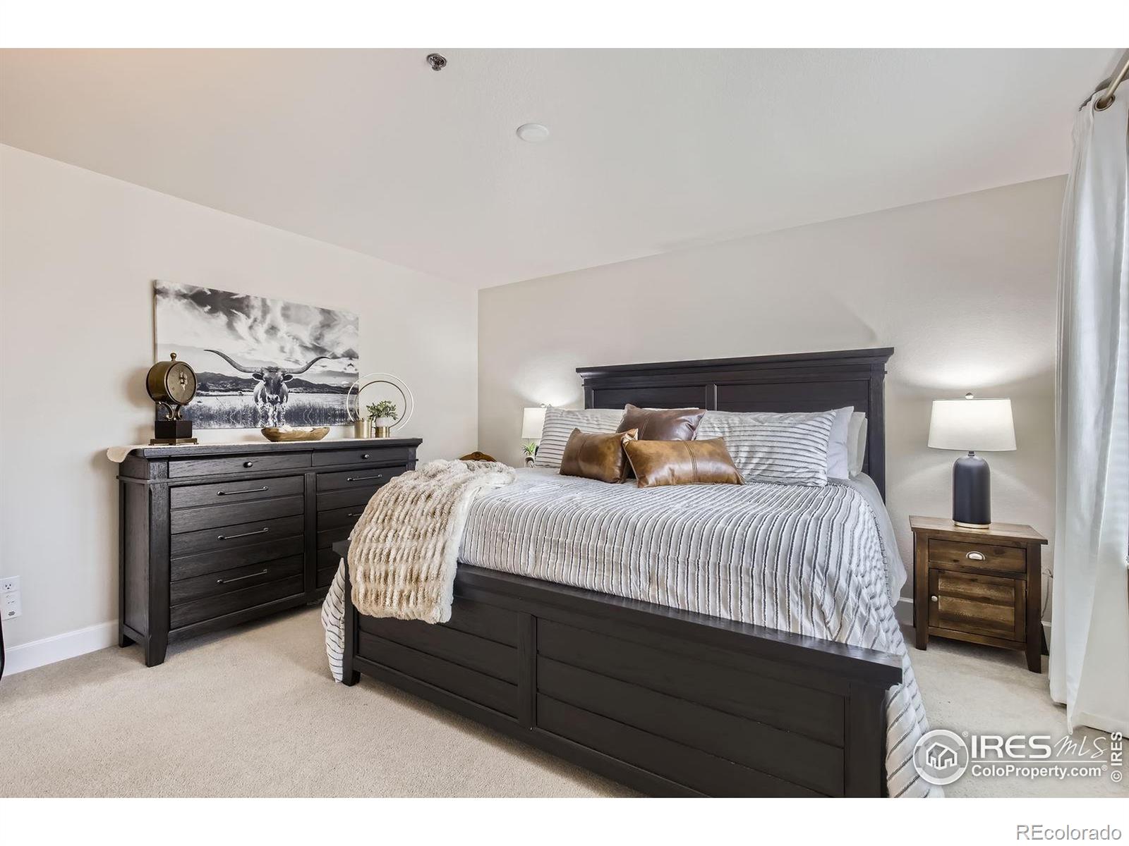 MLS Image #15 for 409  mason court,fort collins, Colorado