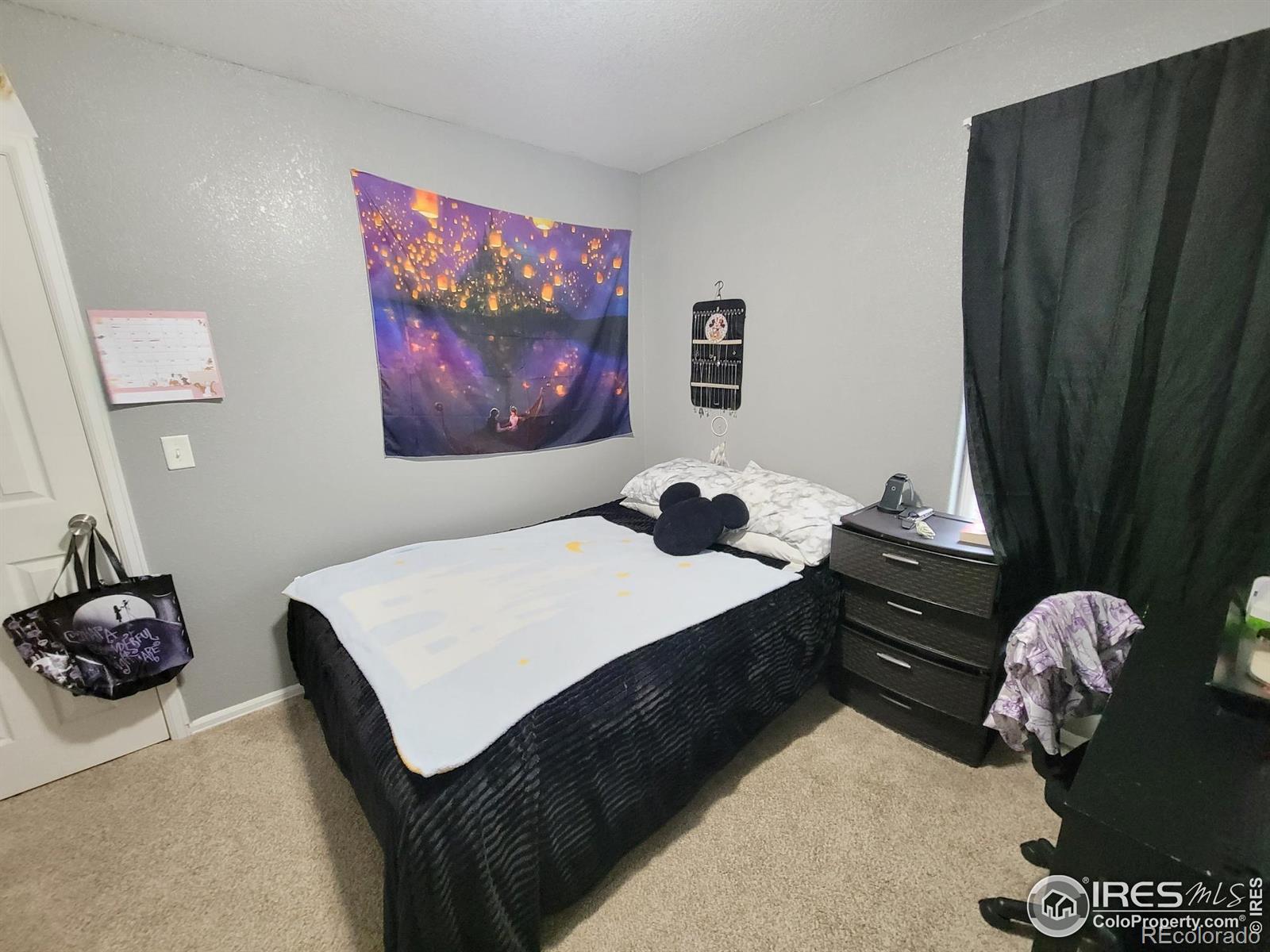 MLS Image #17 for 3306  laguna street,greeley, Colorado