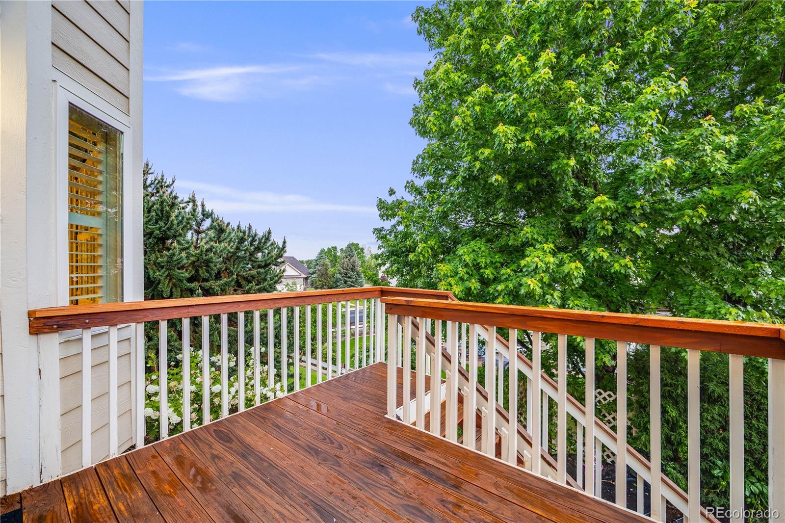 MLS Image #34 for 22428  quail run lane,parker, Colorado