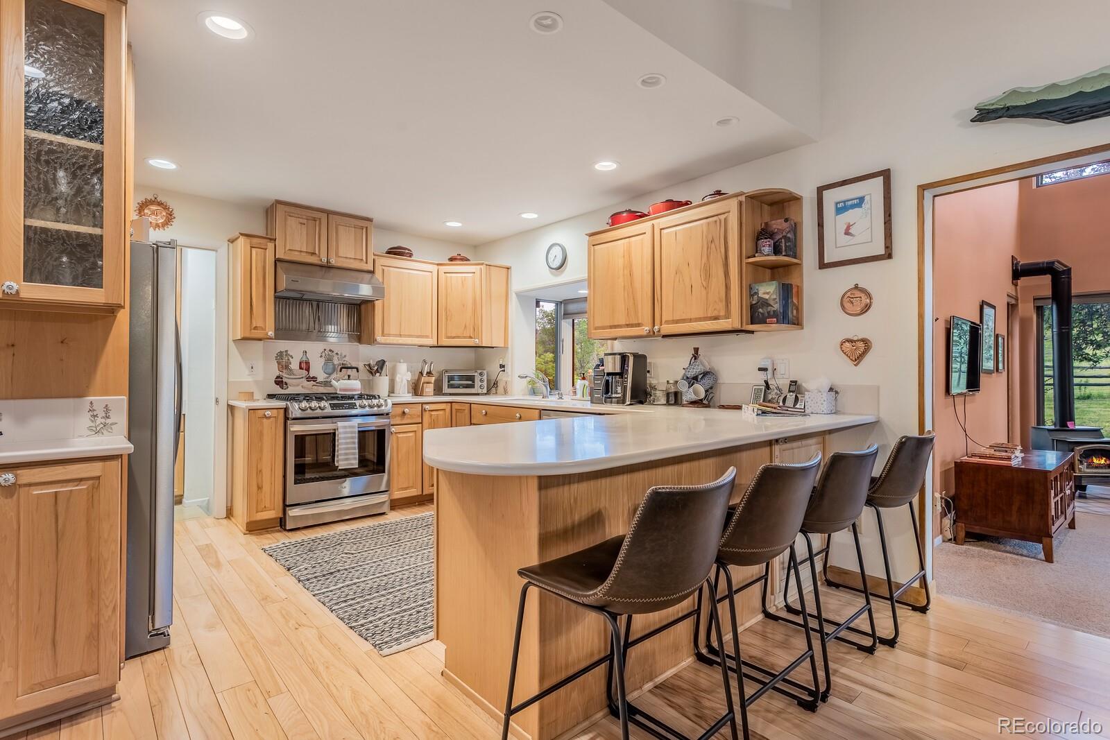 MLS Image #16 for 112 w sunlight court,glenwood springs, Colorado