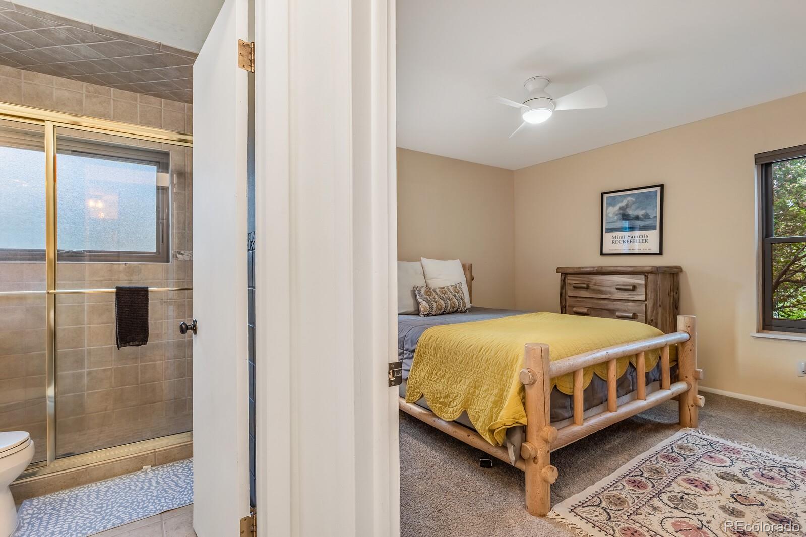 MLS Image #27 for 112 w sunlight court,glenwood springs, Colorado