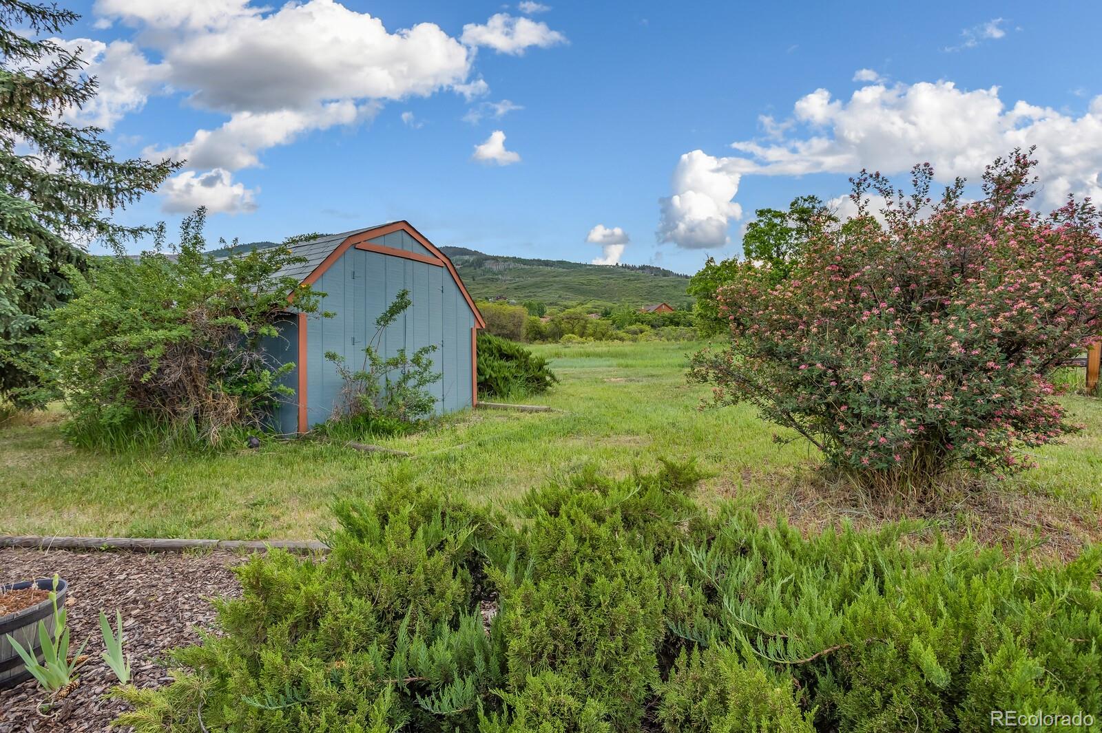 MLS Image #43 for 112 w sunlight court,glenwood springs, Colorado