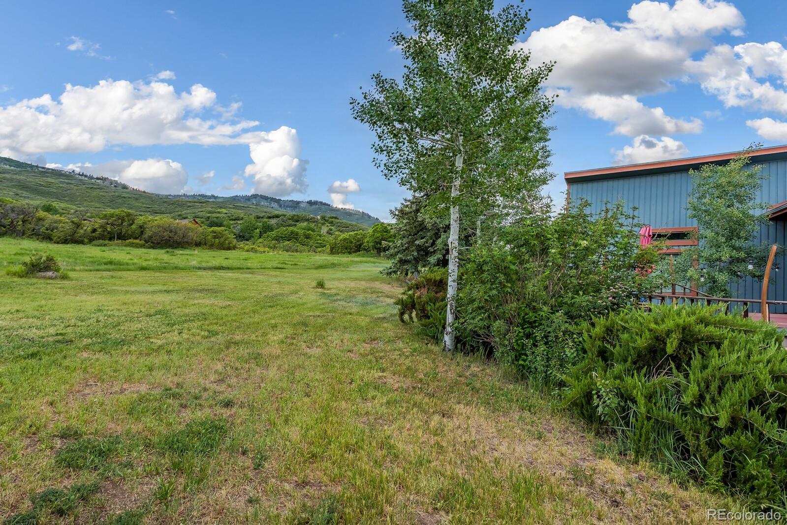 MLS Image #6 for 112 w sunlight court,glenwood springs, Colorado