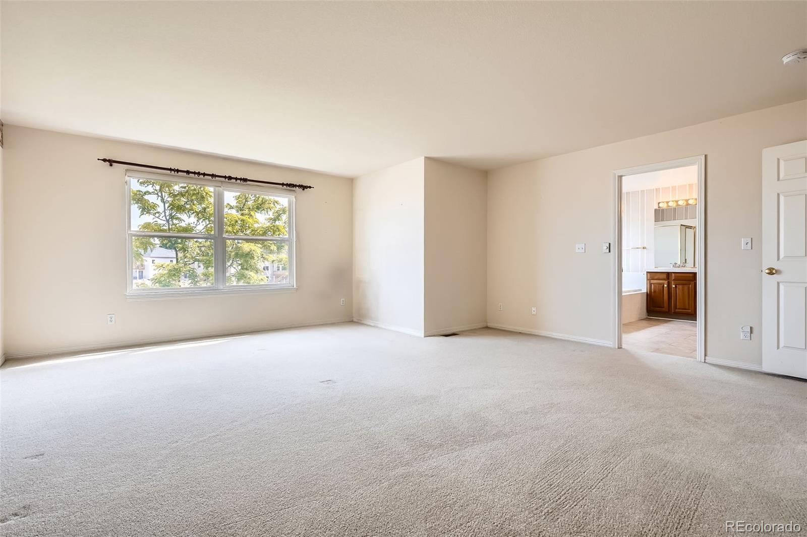 MLS Image #17 for 2561  cactus bluff place,highlands ranch, Colorado