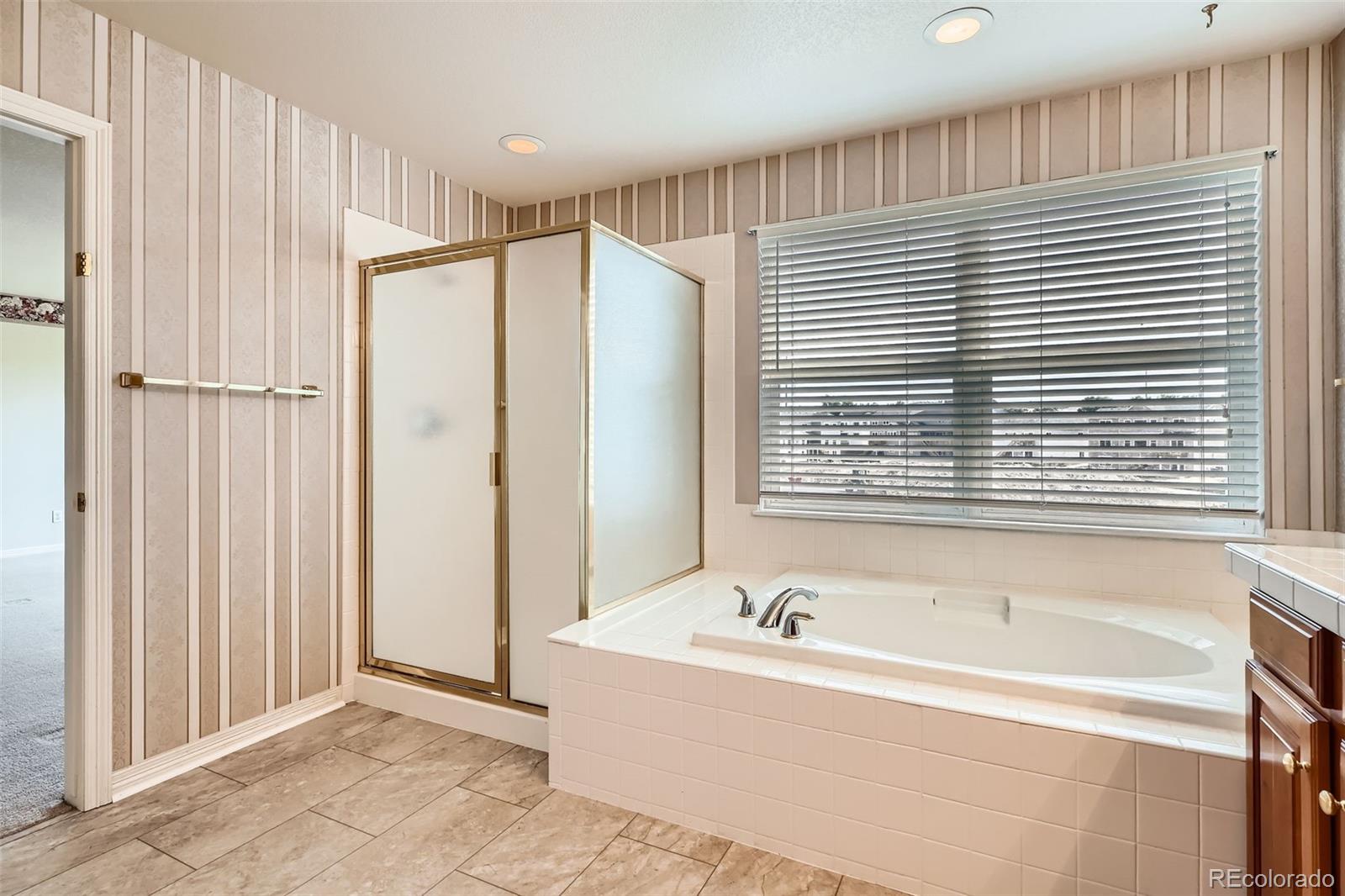 MLS Image #19 for 2561  cactus bluff place,highlands ranch, Colorado