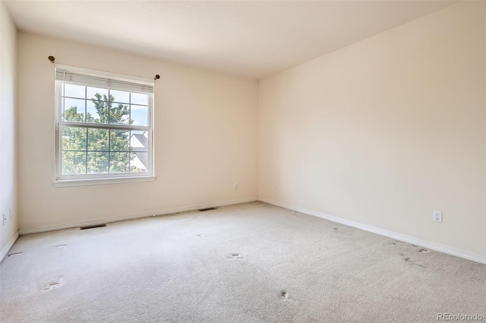 MLS Image #20 for 2561  cactus bluff place,highlands ranch, Colorado