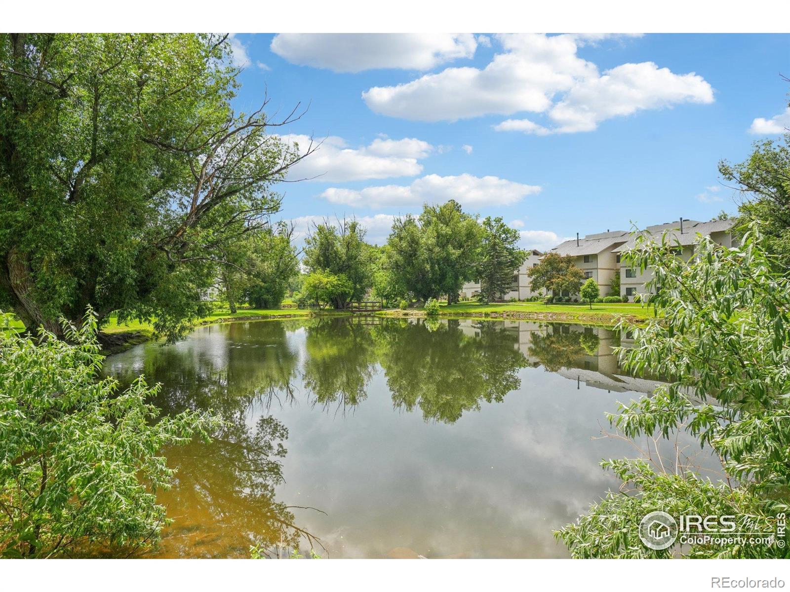 MLS Image #20 for 1705  heatheridge road,fort collins, Colorado