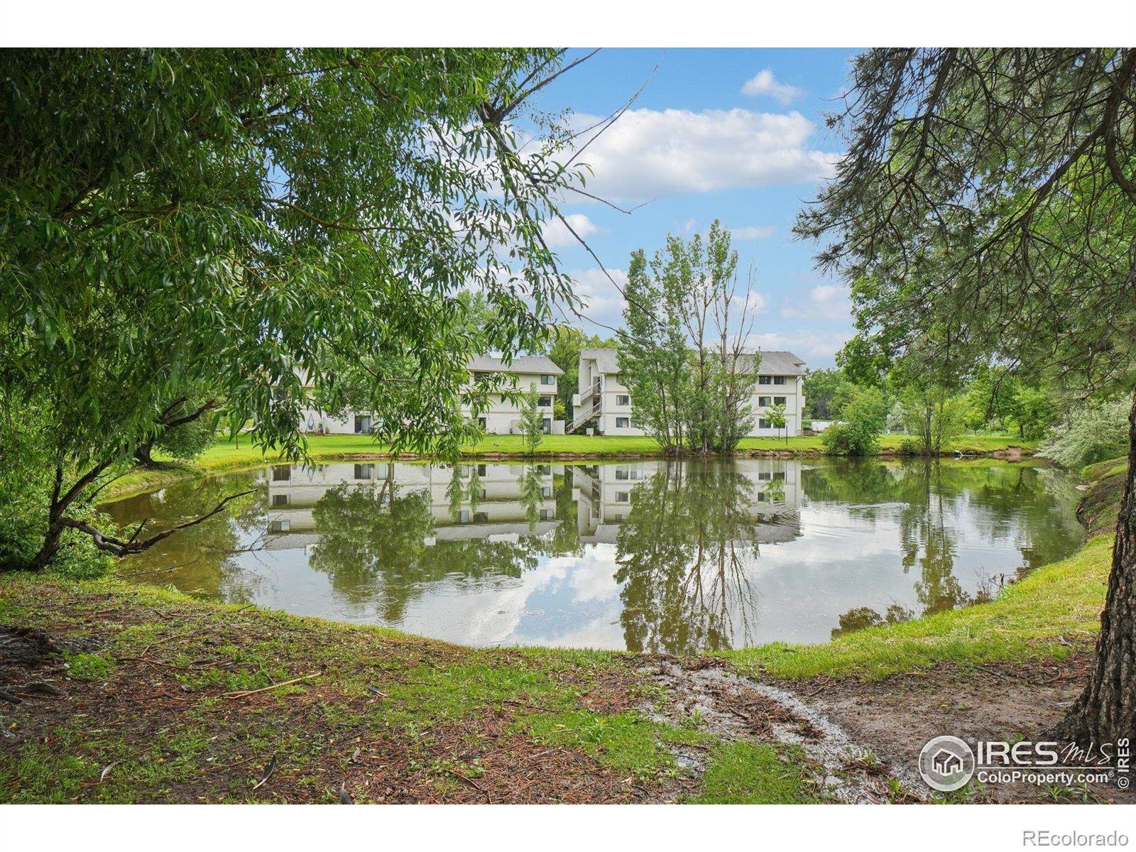 MLS Image #23 for 1705  heatheridge road,fort collins, Colorado