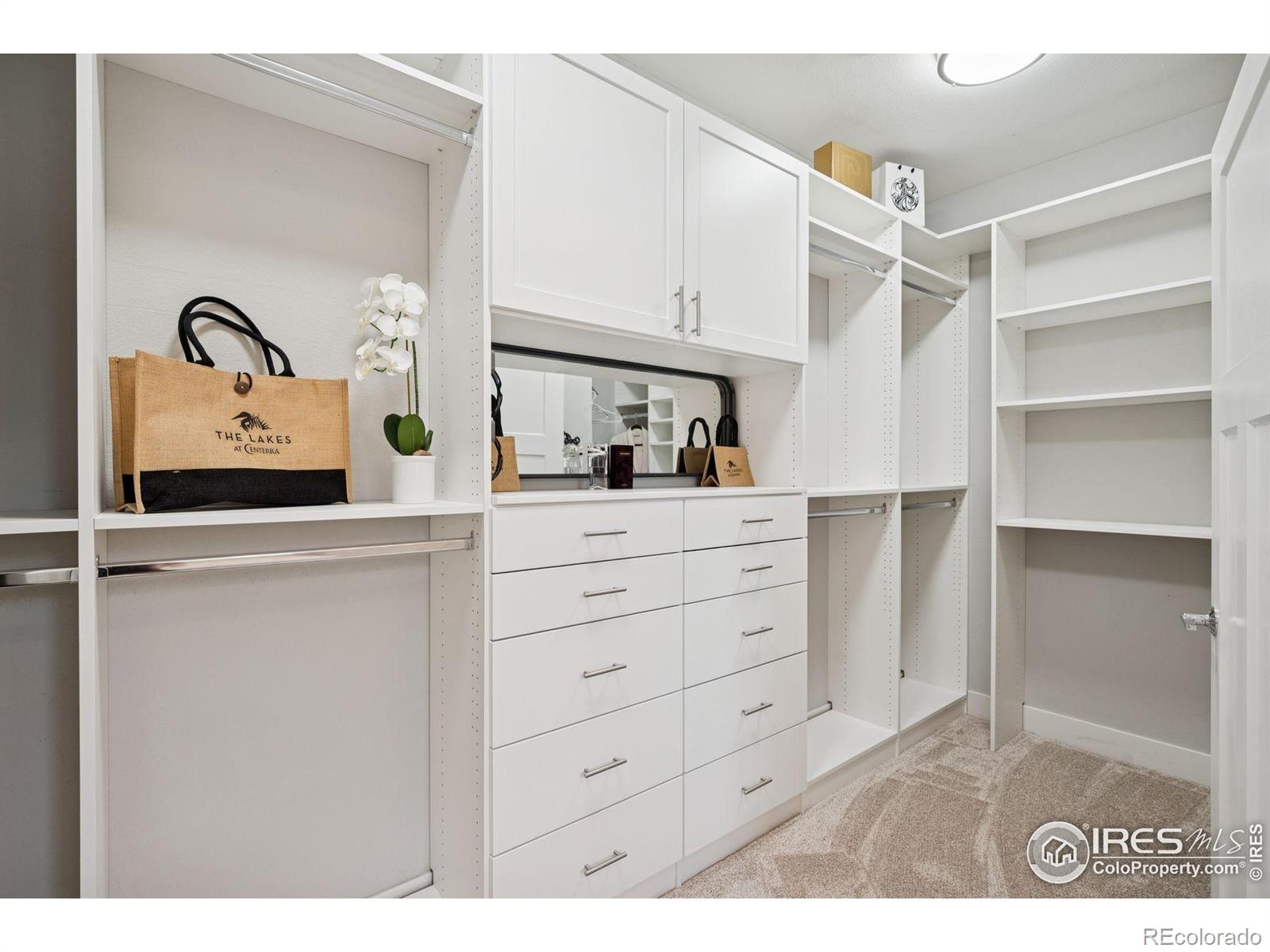 MLS Image #25 for 2503  chaplin creek drive,loveland, Colorado