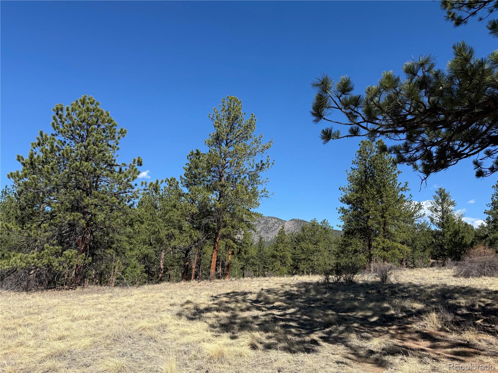 MLS Image #38 for 861  happy top trail,bailey, Colorado