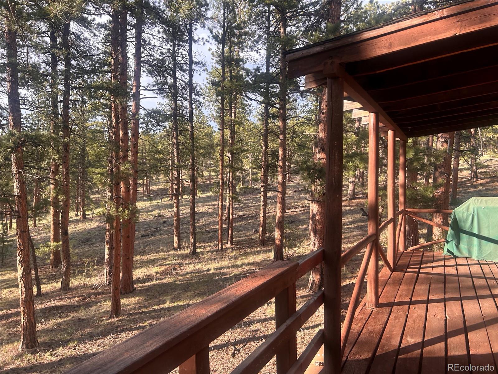 MLS Image #5 for 861  happy top trail,bailey, Colorado