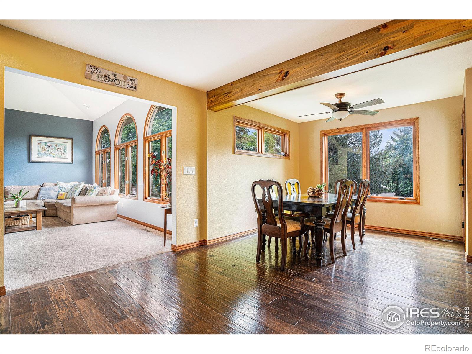 MLS Image #8 for 2901  michener court,fort collins, Colorado