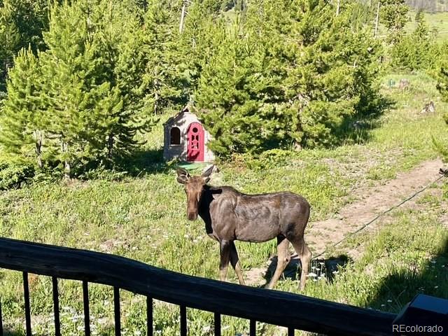 MLS Image #42 for 291  county road 452 ,grand lake, Colorado