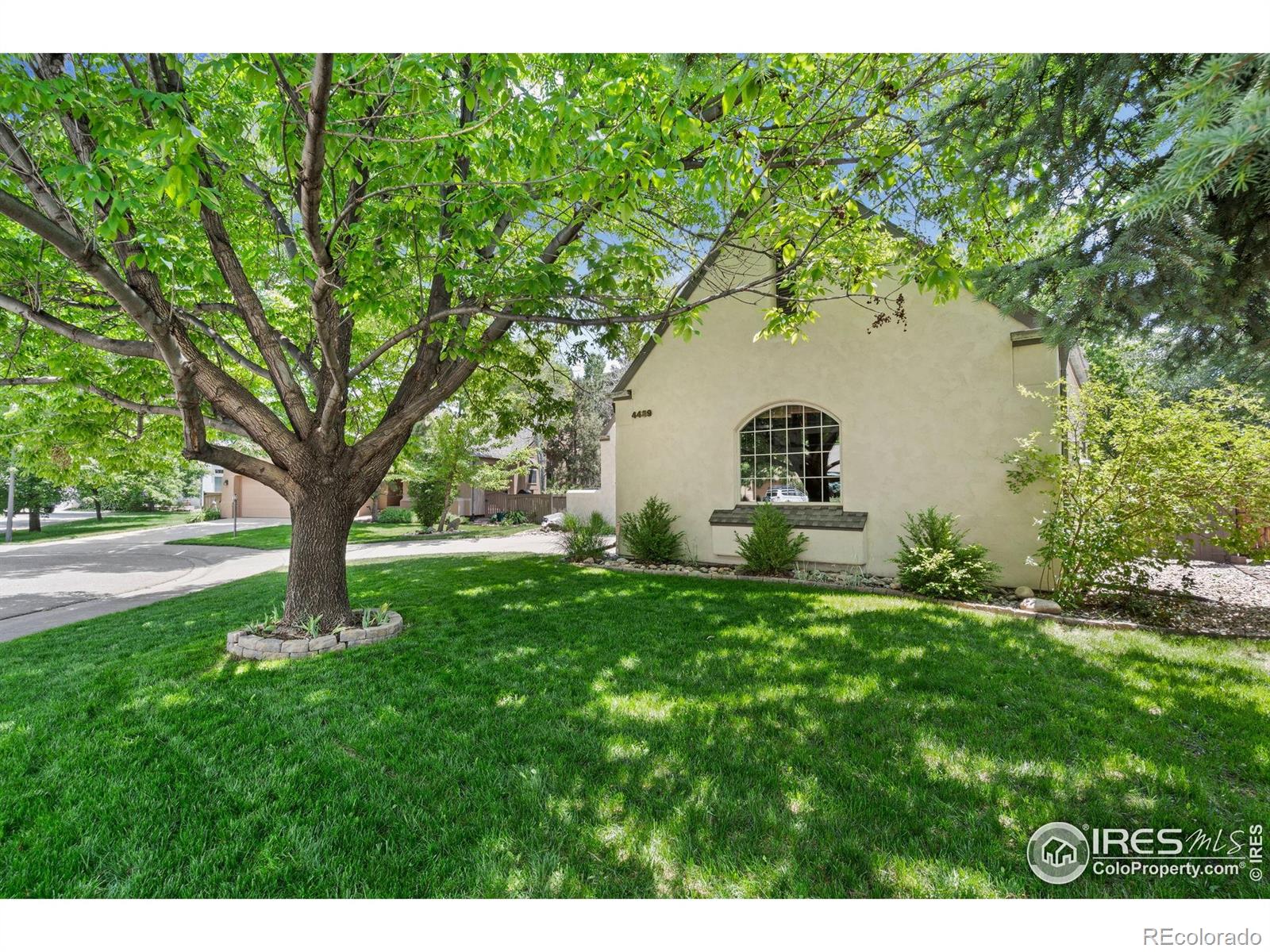 MLS Image #4 for 4489  chateau drive,loveland, Colorado
