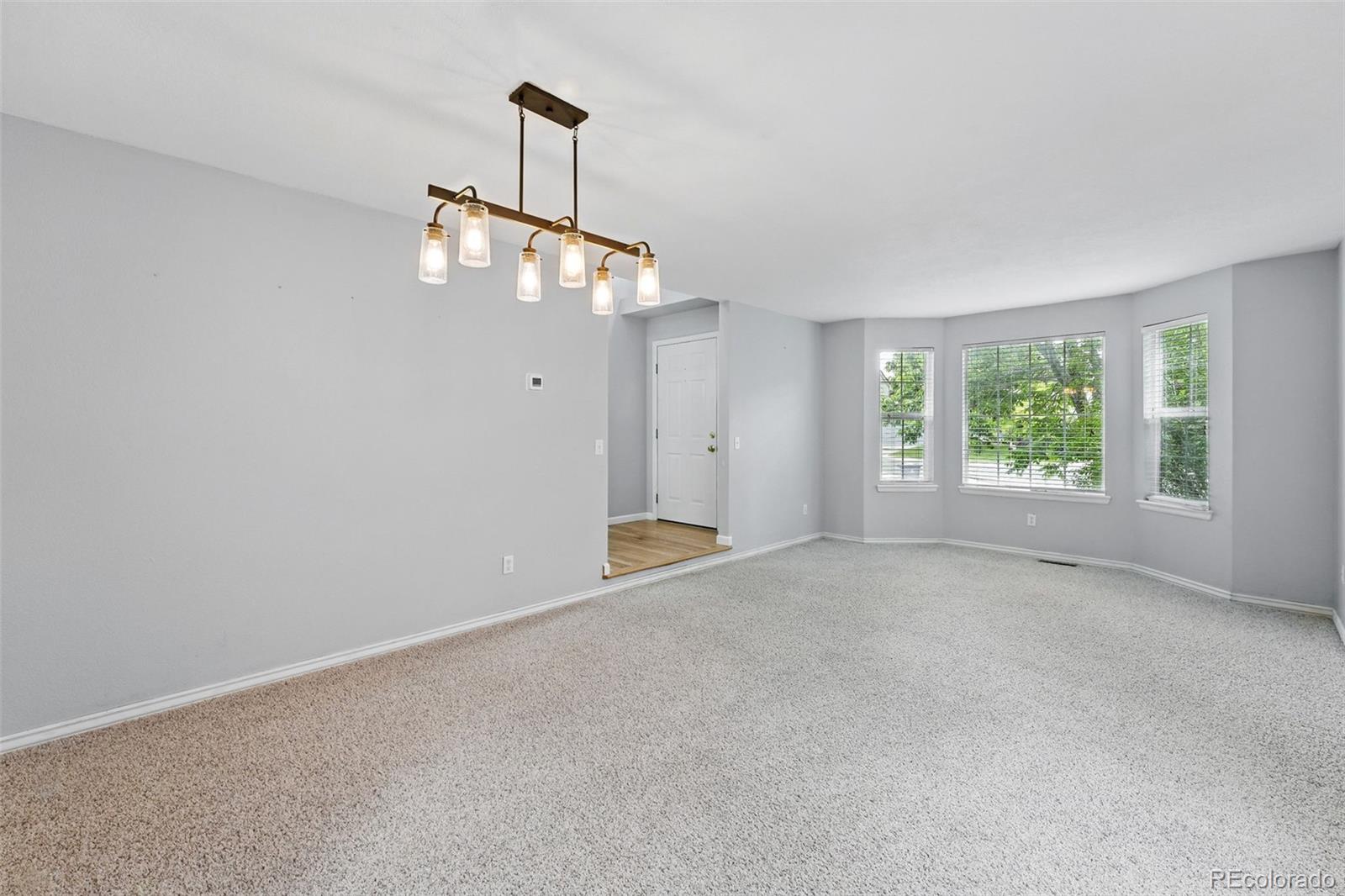 MLS Image #15 for 17058  hastings court,parker, Colorado