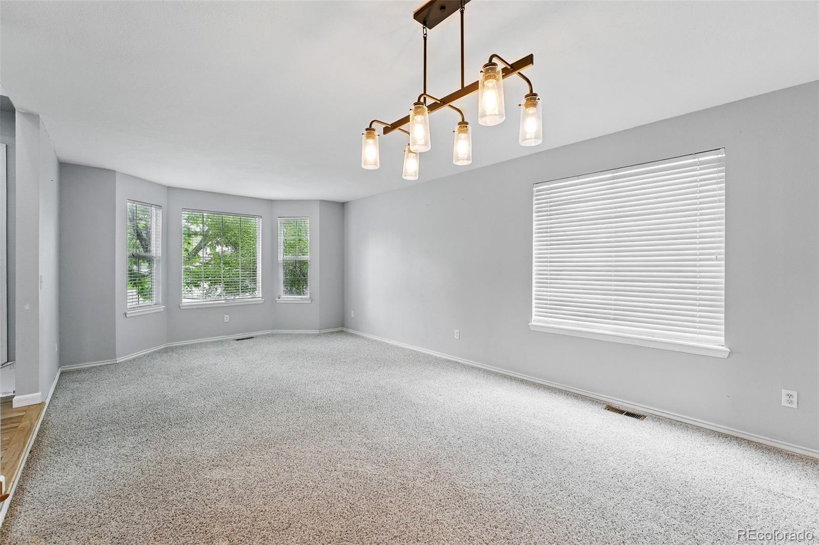 MLS Image #16 for 17058  hastings court,parker, Colorado
