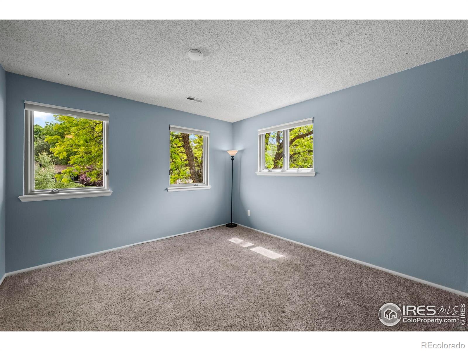 MLS Image #28 for 7409  mount meeker road,longmont, Colorado