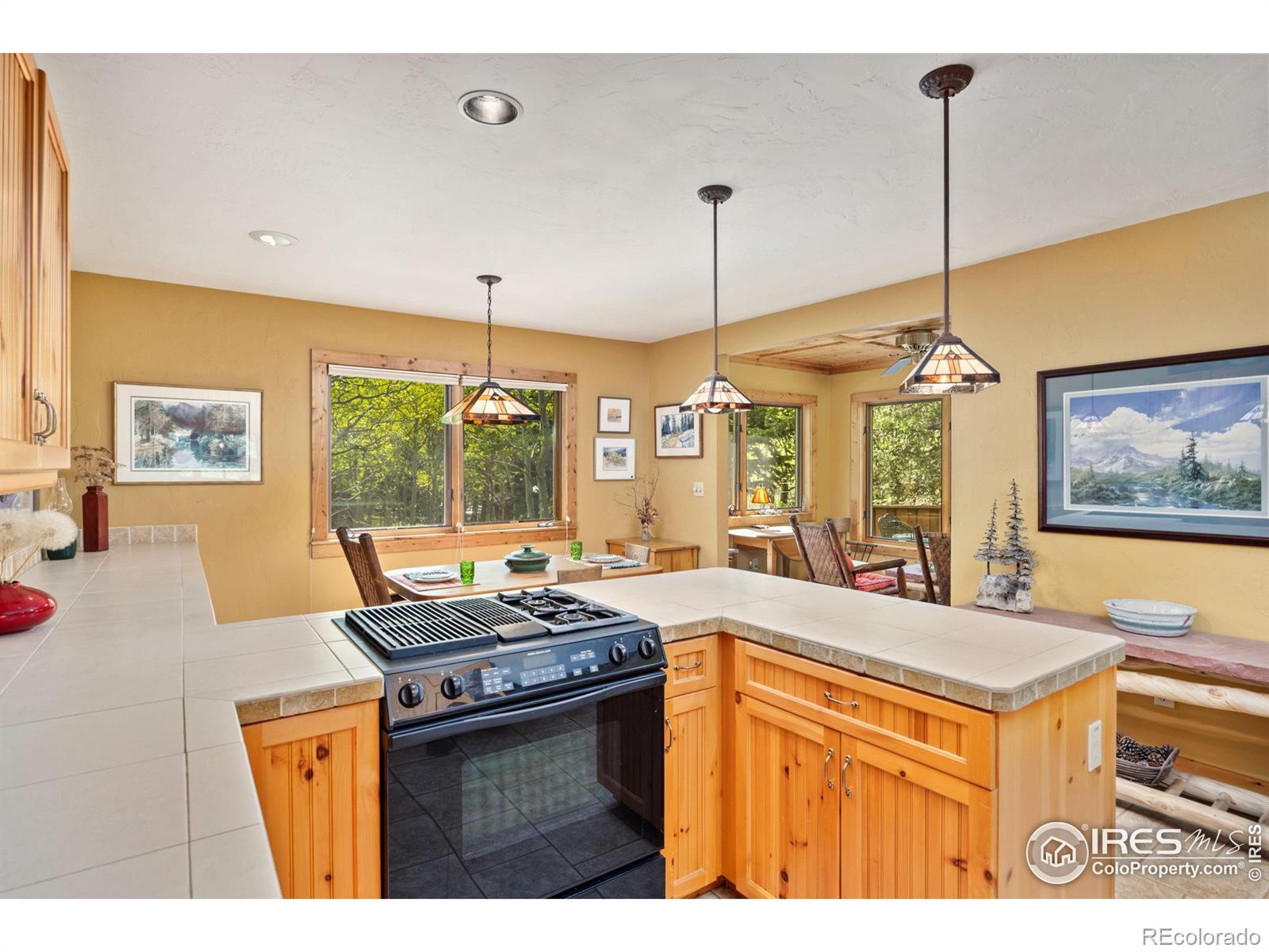 MLS Image #9 for 1075  eldorado avenue,nederland, Colorado