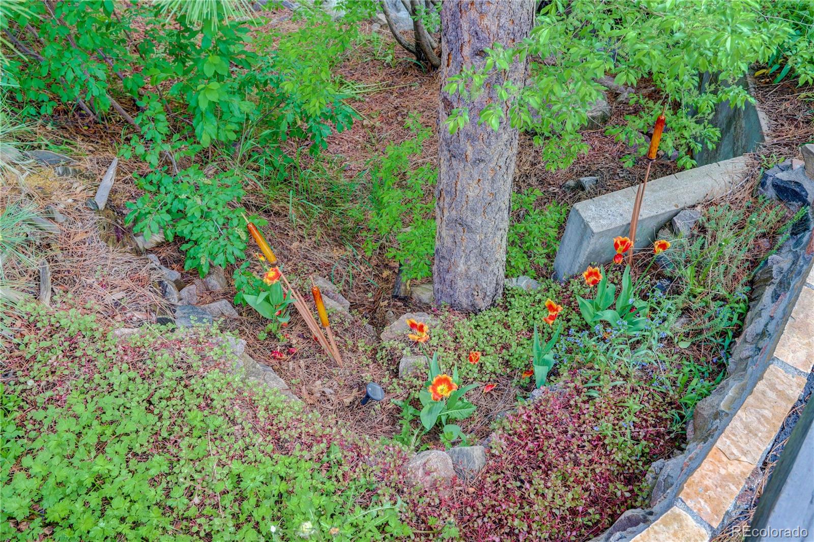 MLS Image #29 for 11220 s deer creek road,littleton, Colorado