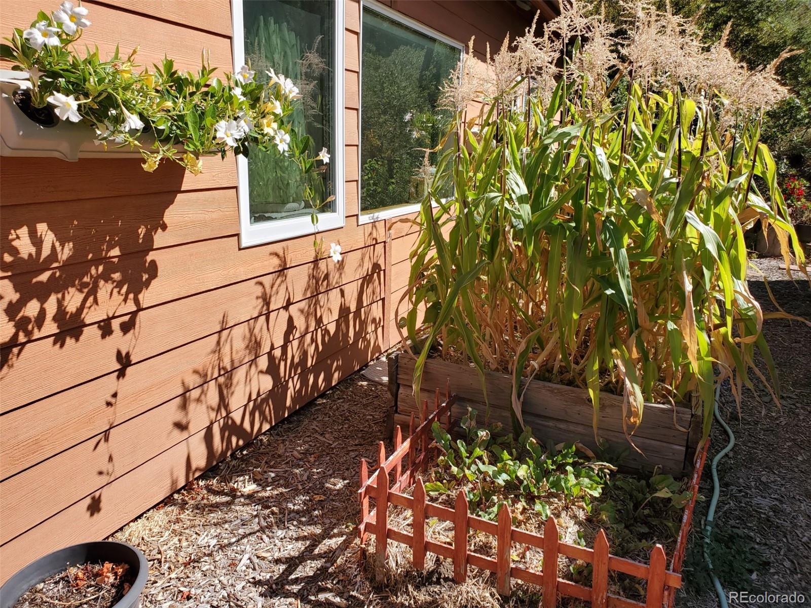 MLS Image #31 for 11220 s deer creek road,littleton, Colorado