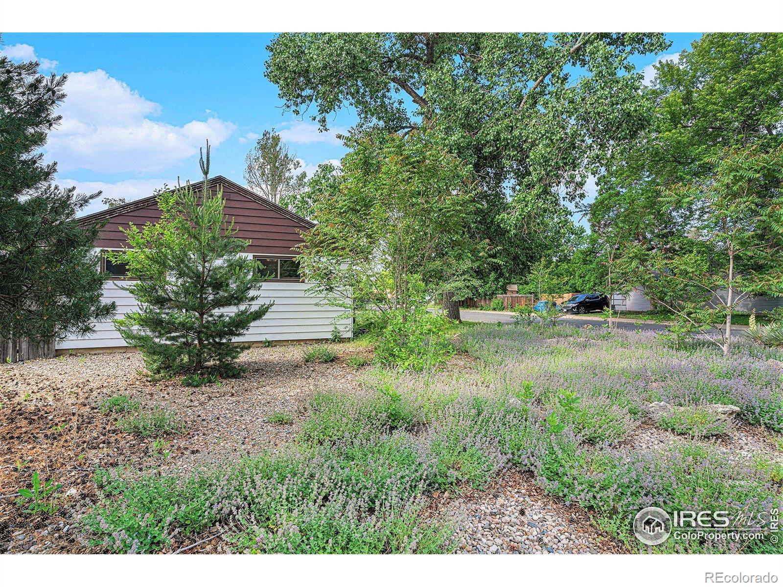 MLS Image #21 for 642 w 9th street,loveland, Colorado