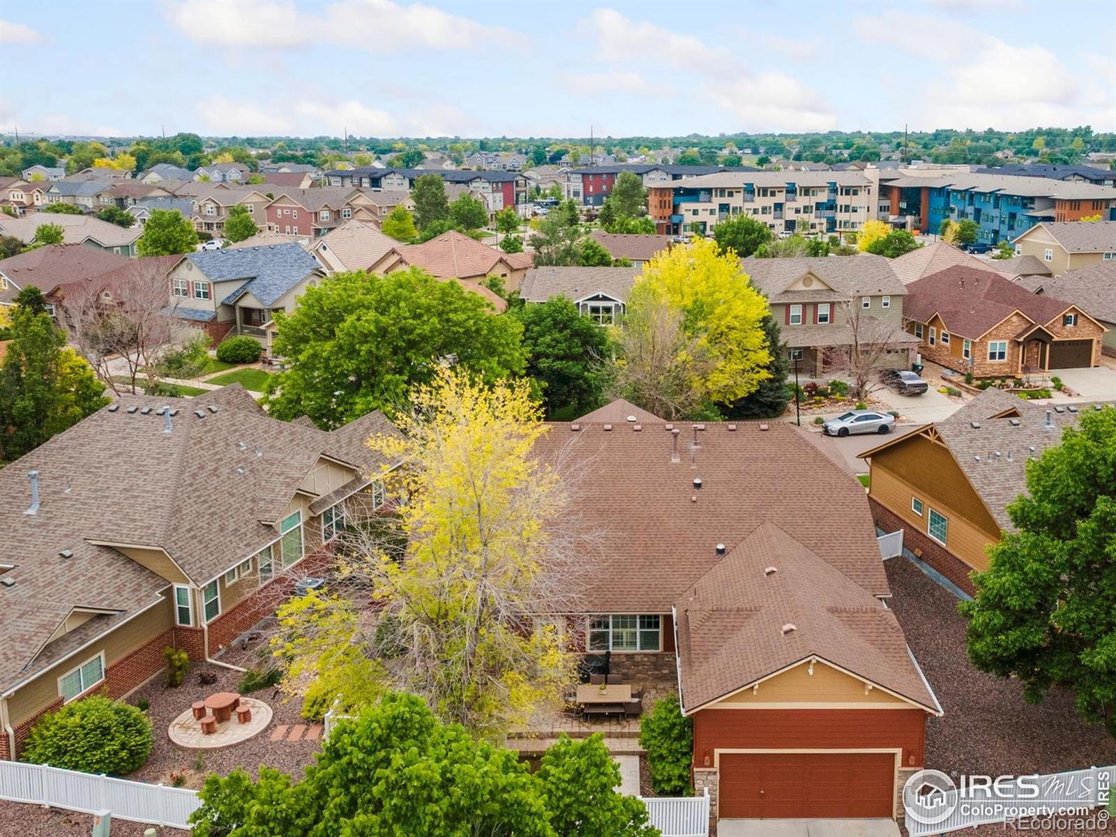 MLS Image #32 for 336  olympia avenue,longmont, Colorado