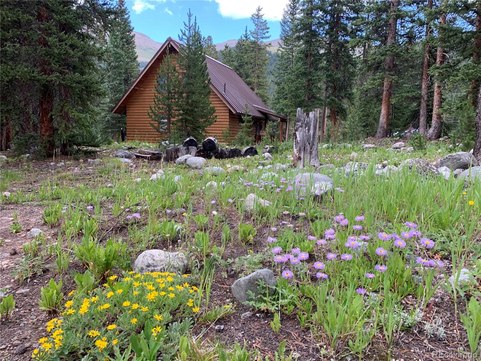 MLS Image #26 for 29  gregory circle,breckenridge, Colorado