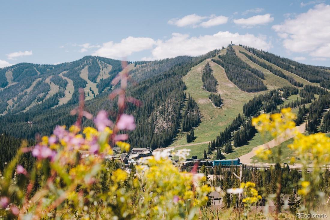 MLS Image #30 for 310  iron horse way,winter park, Colorado