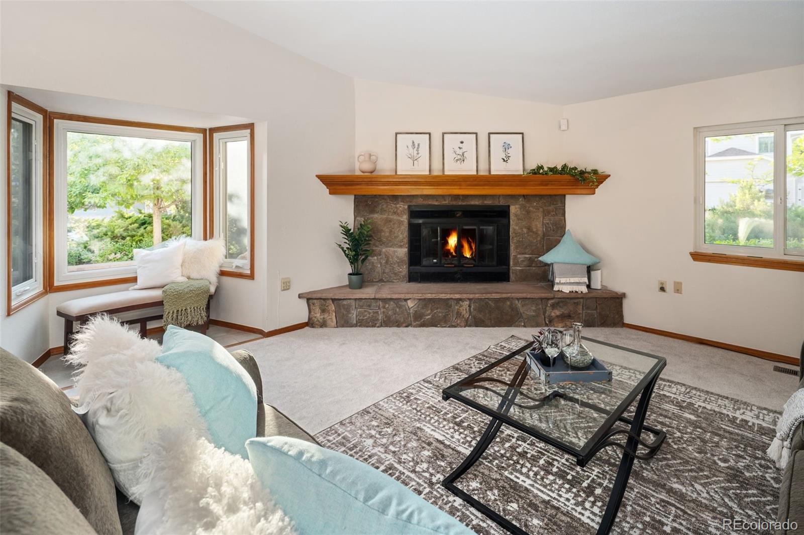 MLS Image #10 for 6008 s van gordon street,littleton, Colorado