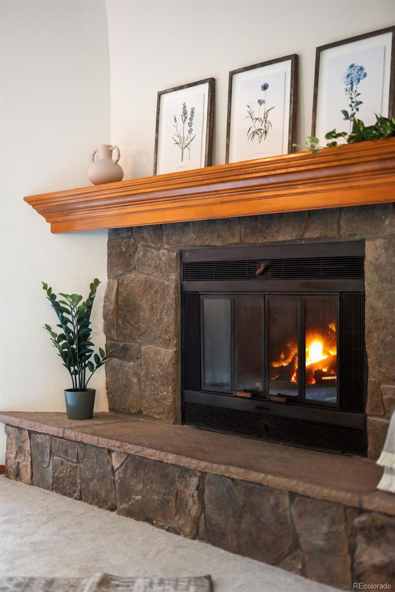 MLS Image #9 for 6008 s van gordon street,littleton, Colorado
